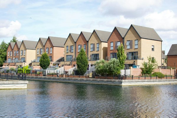 Le Paillage : Découvrez les Allié(e)s Inattendues pour Sublimer Votre Jardin